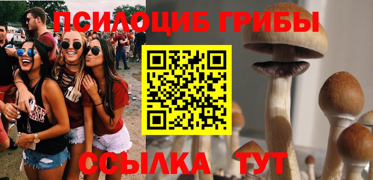 как найти закладки  Галлюциногенные грибы Psilocybine cubensis  Галлюциногенные грибы Psilocybe  Вход с VPN  Кыштым 