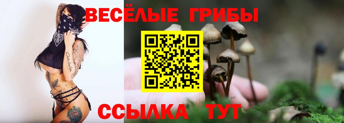 Галлюциногенные грибы GOLDEN TEACHER Кыштым